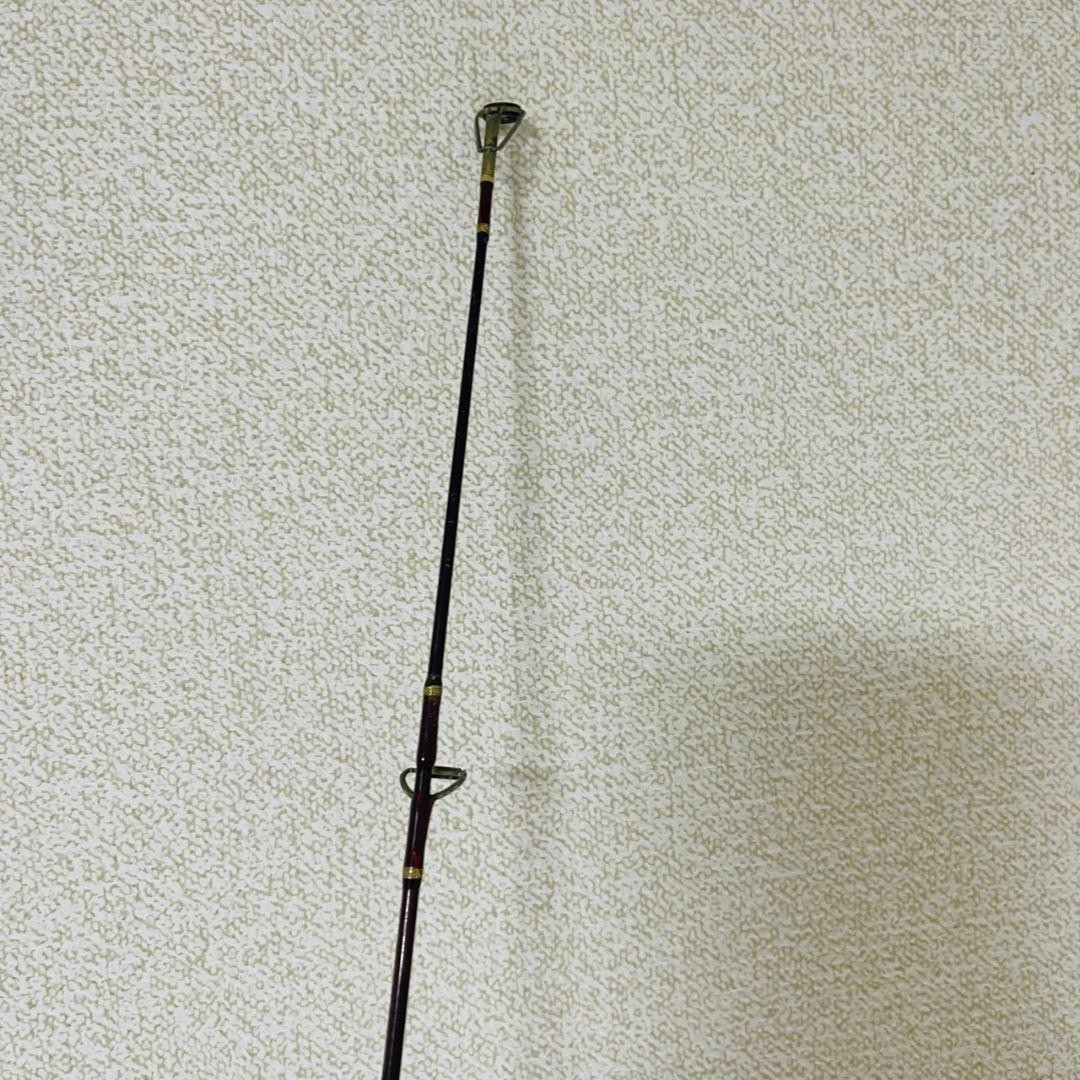 Fenwick Golden Wing GW 66C Spinning Rod Used, Light Wear