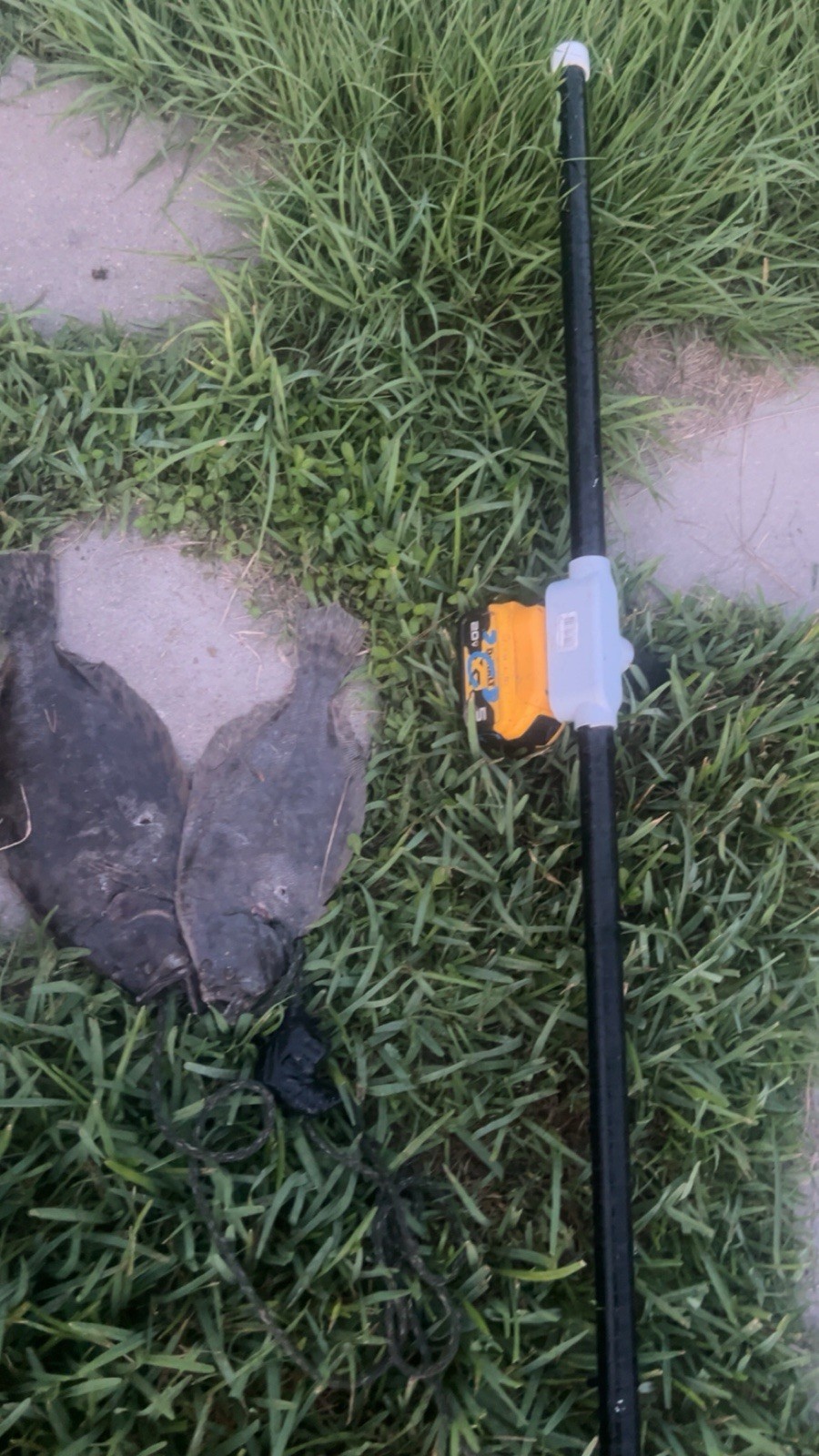 Bayou Gig Light (flounder Light)