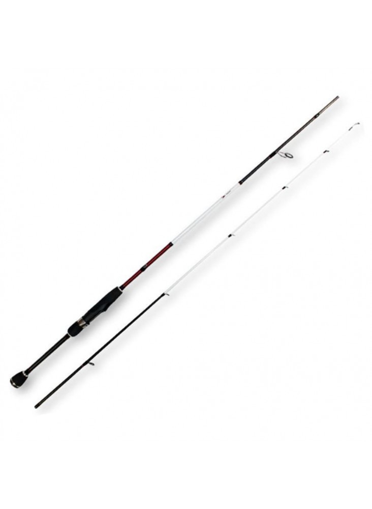 Crazy Aspen Stake 2.20m Spinning Rod 30–100g Fast-Action Carbon