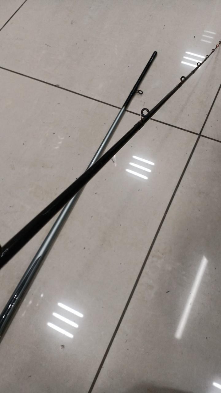 Daiwa HS Hayasune 10-210 Casting Fishing Rod 10ft (120in/305cm) No Warranty