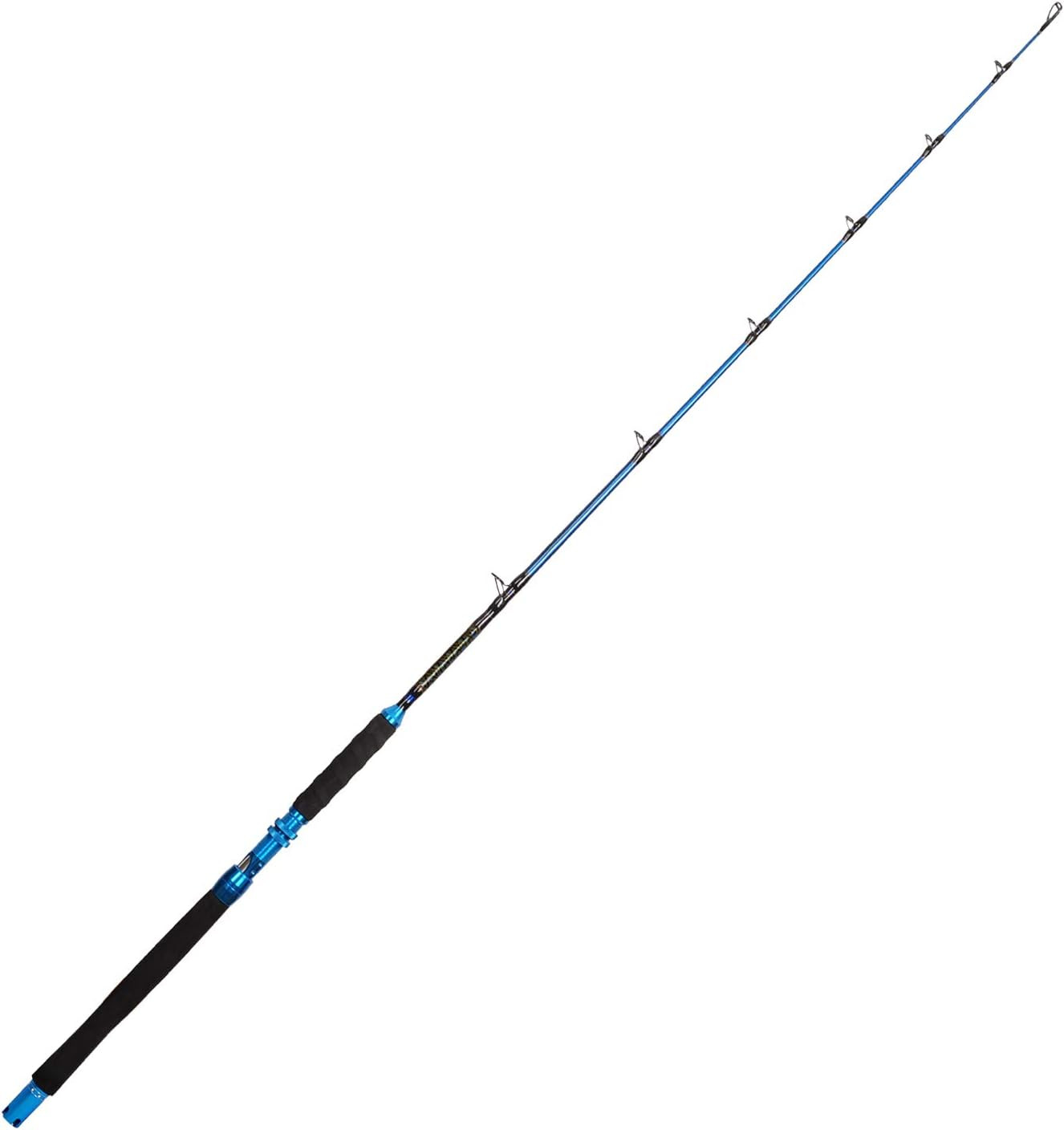 1PC Saltwater Offshore Fishing Rod Graphite Jigging Spinning Casting Pole Sea 6′