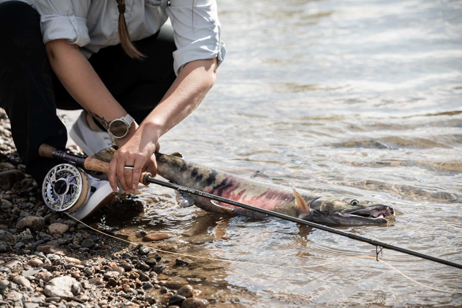 TFO LK Legacy Series Fly Rod+FREE 36 hand selected flies(details in description)