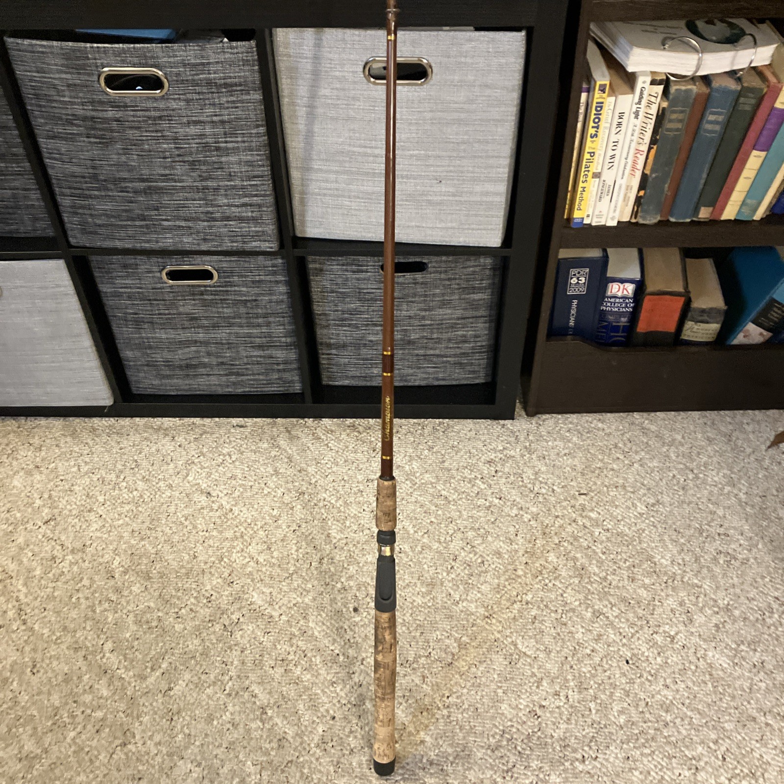 Champion Fishing Fish Rods Casting Rod GLS-C66M Lure 1/4 – 3/4 oz. Line 8-15 1b
