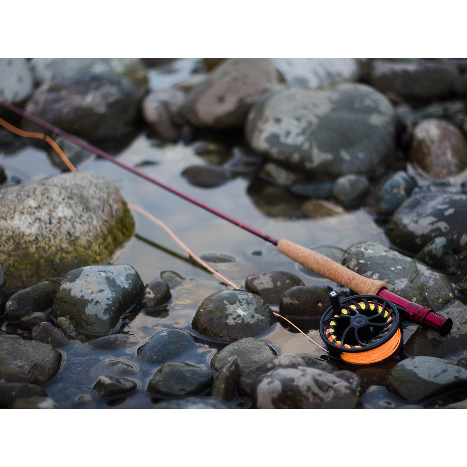 TEMPLE FORK OUTFITTERS Bug Launcher 5-6wt 8ft 2pc Fly Rod (TF-BL-56)