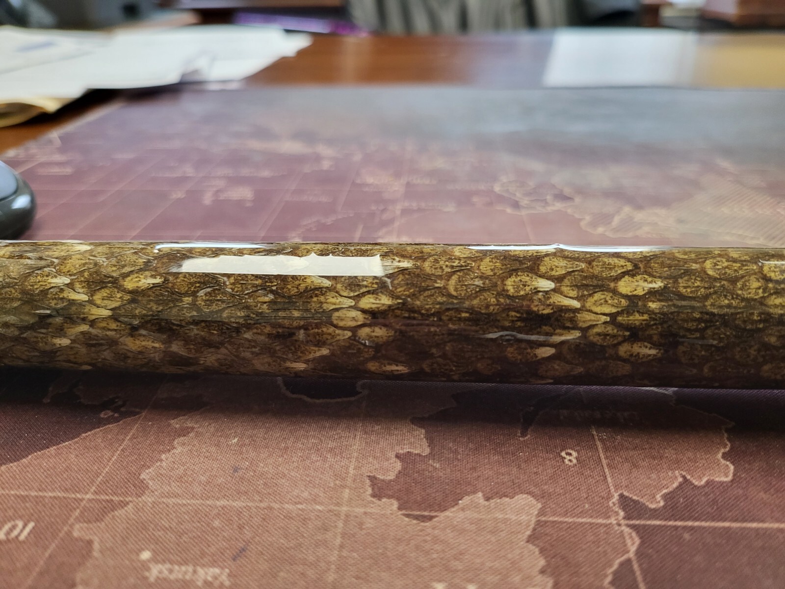 Custom Rattlesnake Fishing Rod Real Rattlesnake Skin Grips with or without Fangs