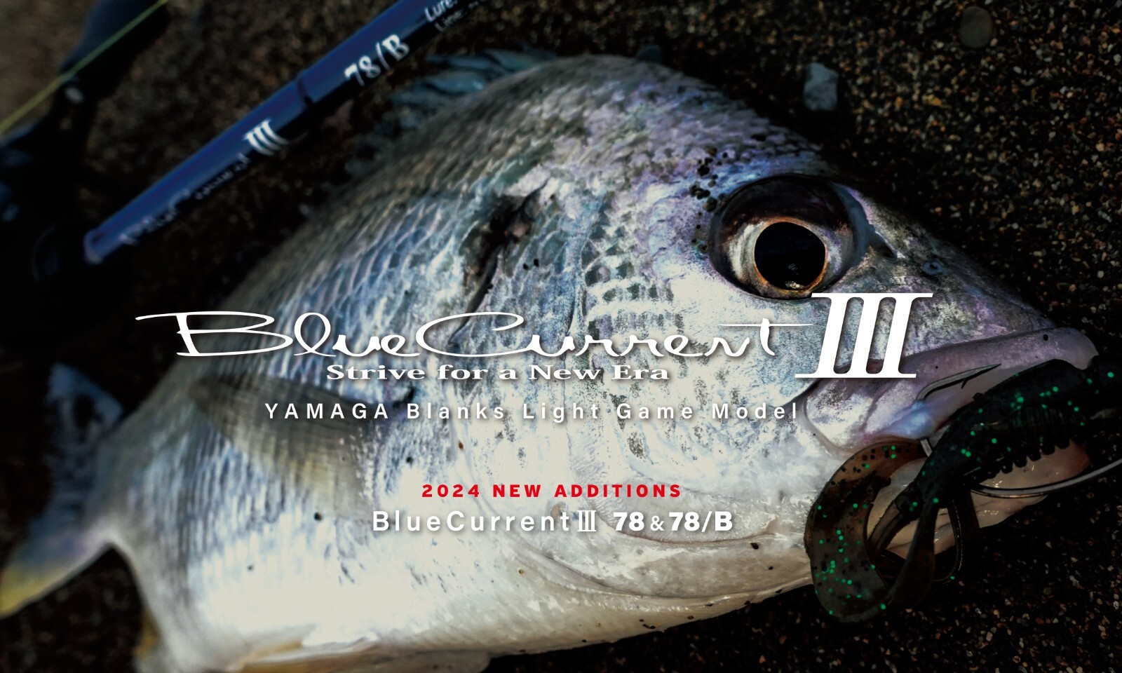 Yamaga Blanks Blue Current III 510 Light Game Model Fishing Rod **US SELLER**