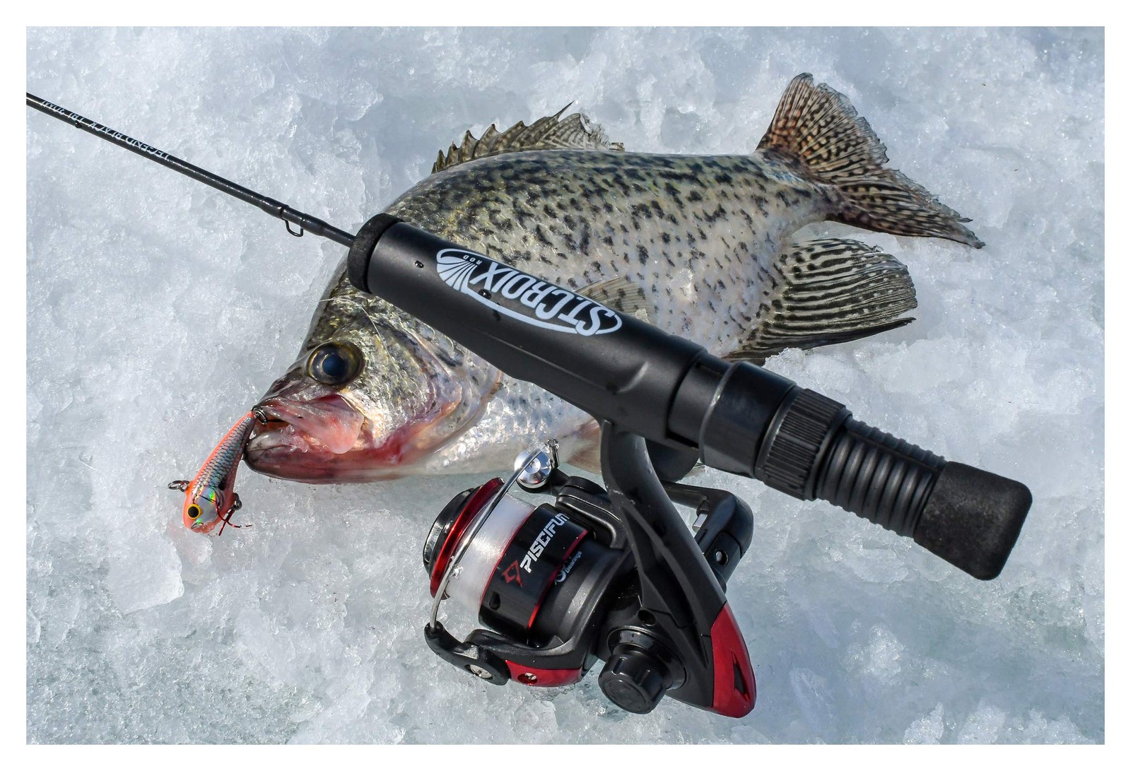 Legend Black Ice Fishing Rod