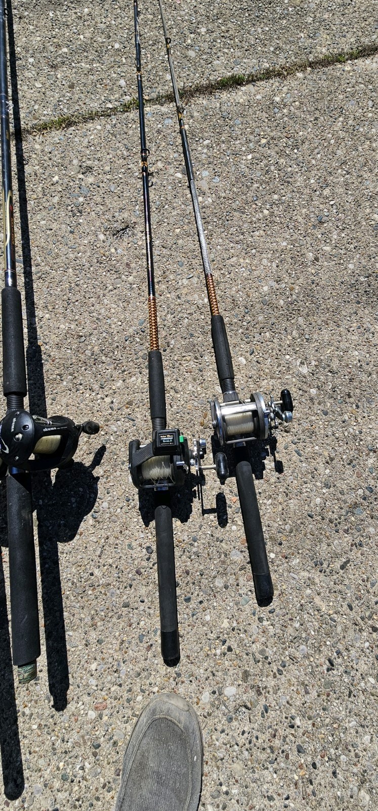 Down rigger Fishing Rods And Reels 4 Ugly Sticks 1 DAIWA Rod 1Browning Rod