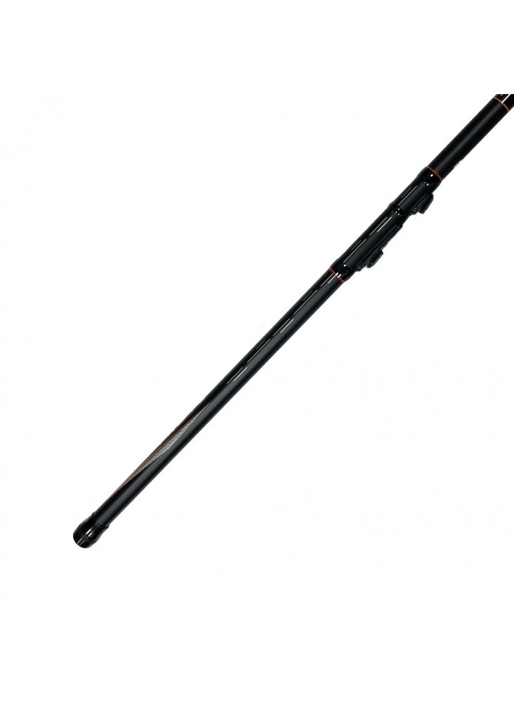 Fishing Telescopic rod Pro FL Champion Allround Tele Match 4.20m 20-80g