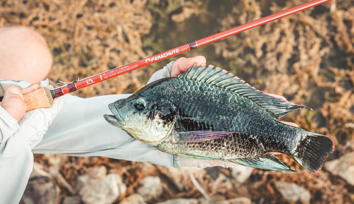 Maxcatch PARACHUTE 5/6/8WT 9FT Fast Action 40T IM12 Carbon Fly Fishing Rod