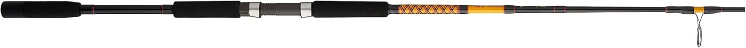 Bigwater Spinning Fishing Rod