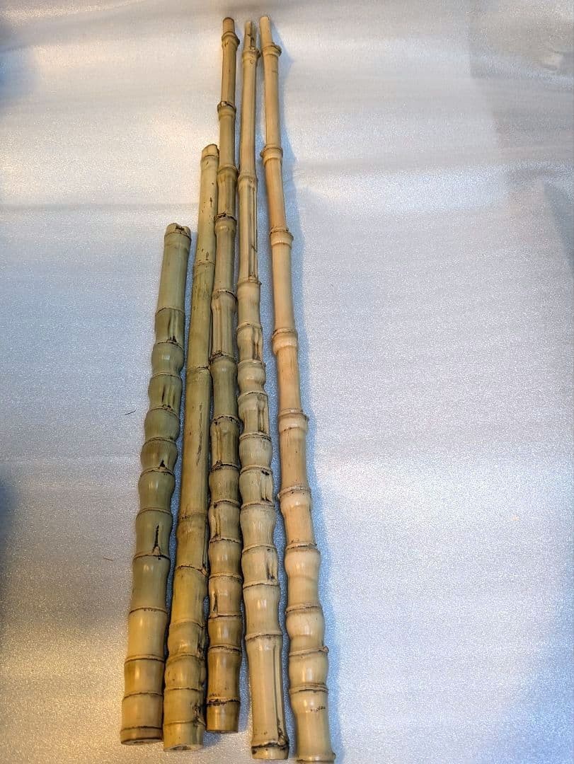 Hotei Bamboo Sticks Craft Material 35-60cm Slim Natural Used