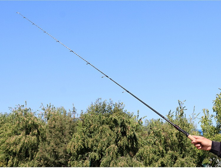 1.68M/5.51FT Fishing Rod Portable Fishing Pole Carbon Fiber Spinning/Casting Rod
