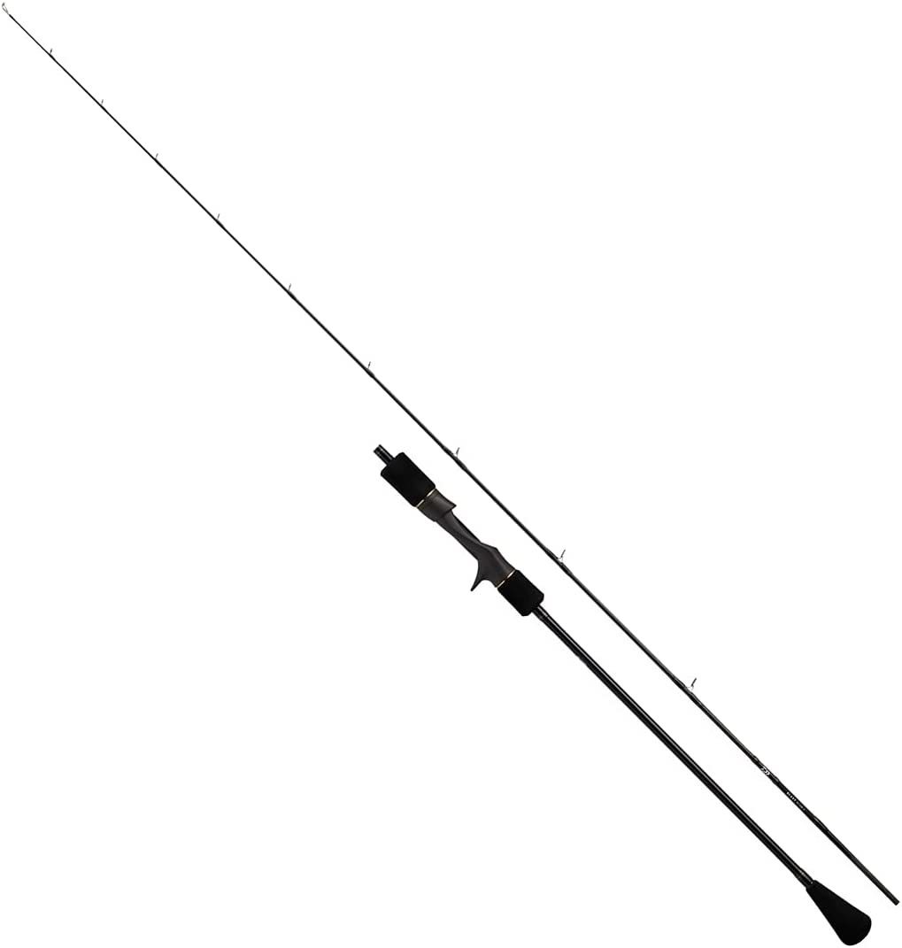 DAIWA Slow Jigging 21 Blasting SJ 63B-4