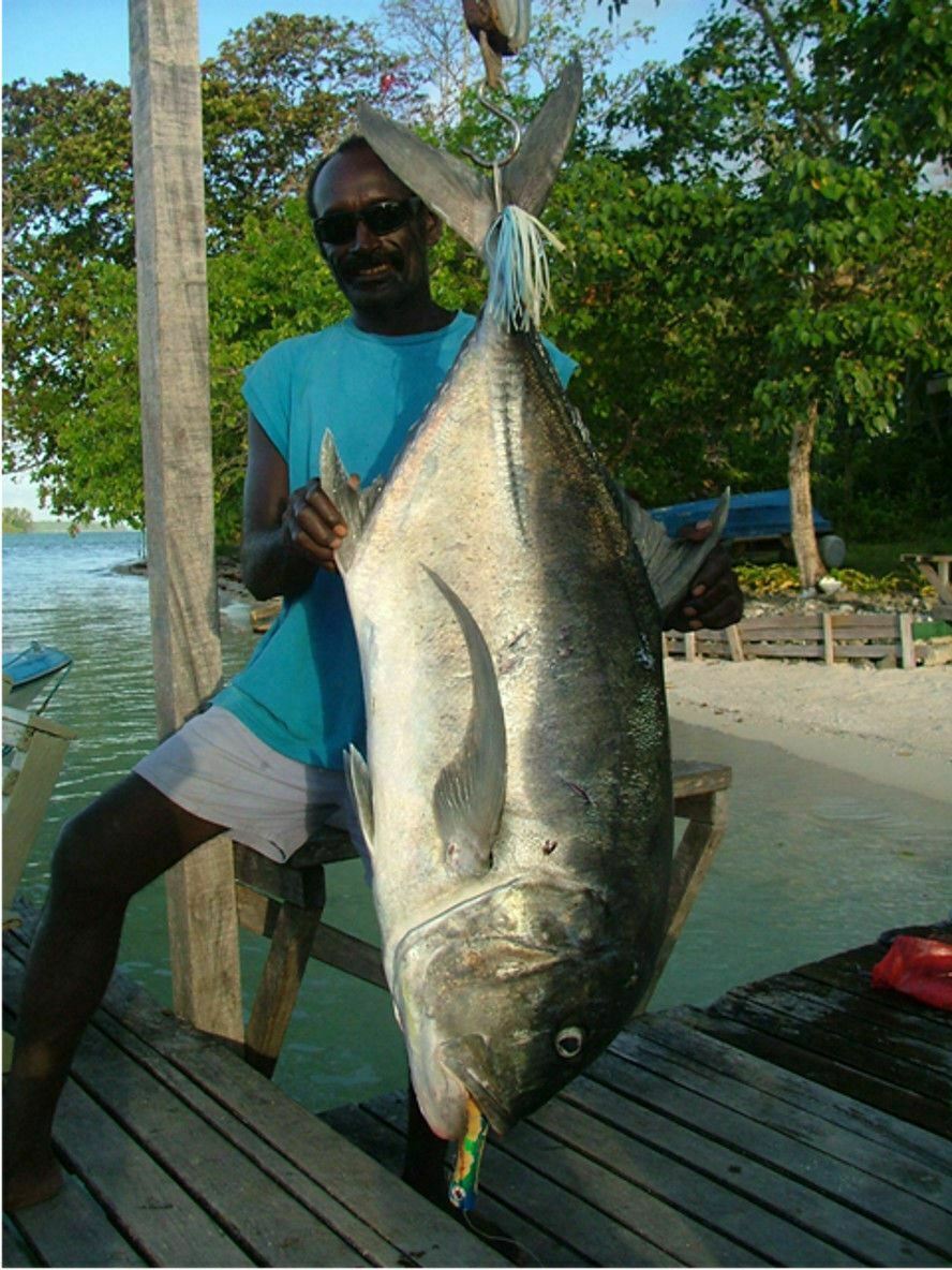 Hamachi XOS GT’n’Doggie 8’2 PE 3 – 5 / 30 – 50 lb Popper nano fishing rod pole