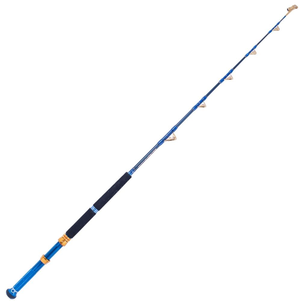 JIGGING MASTER Boat Fishing Rod Bottom Sniper 168 30-80LB