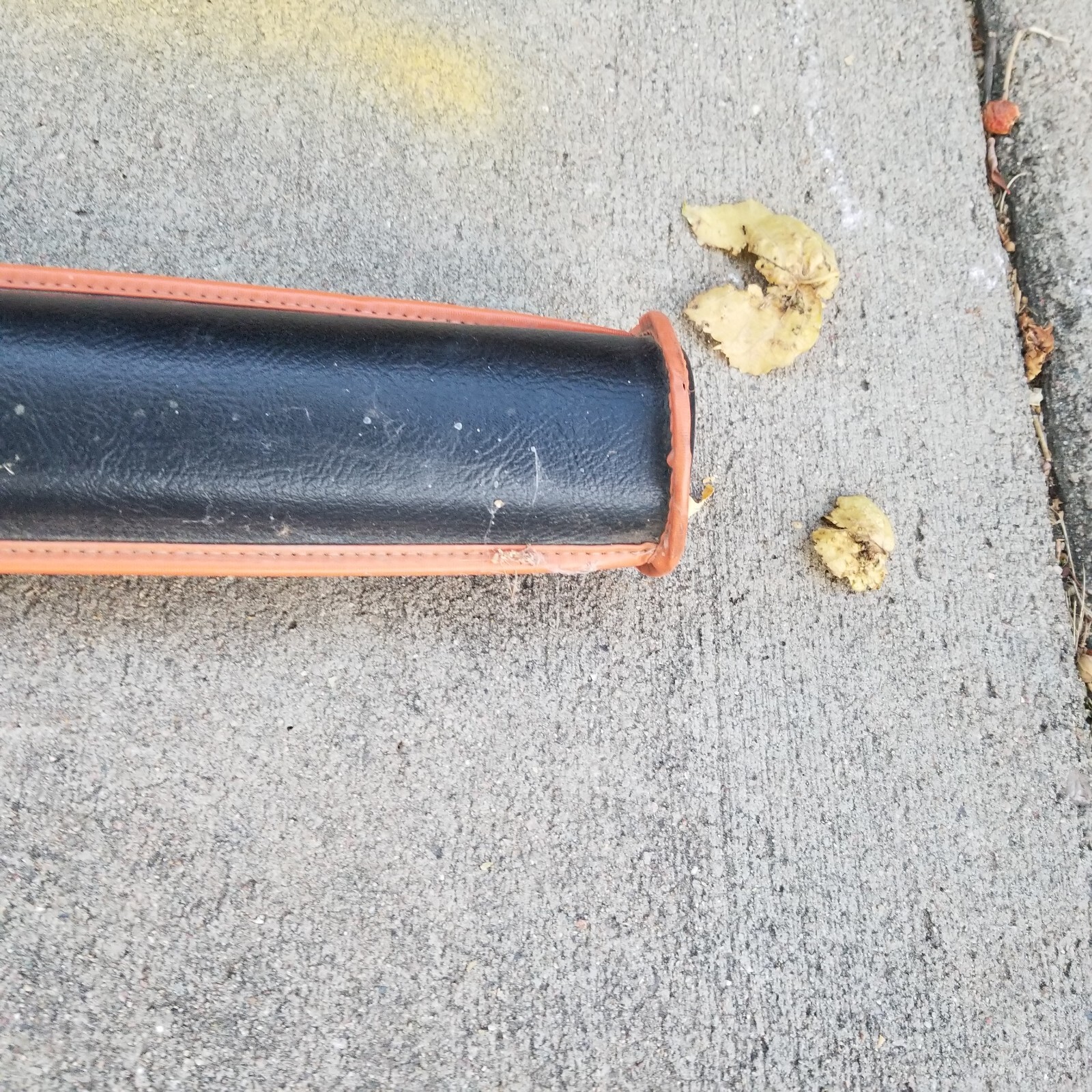 Vintage Skyline Fishing Rod CASE ONLY