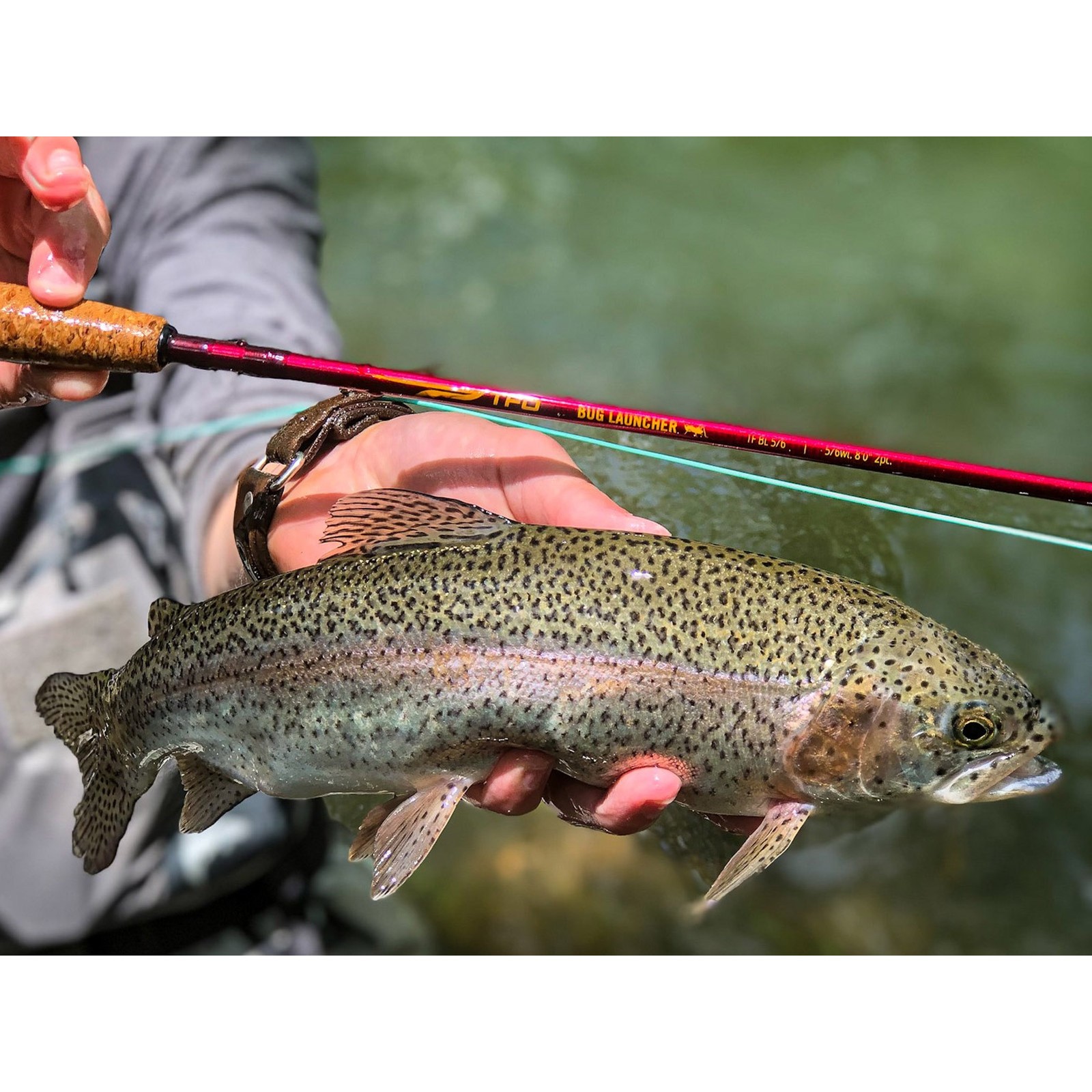 TEMPLE FORK OUTFITTERS Bug Launcher 5-6wt 8ft 2pc Fly Rod (TF-BL-56)