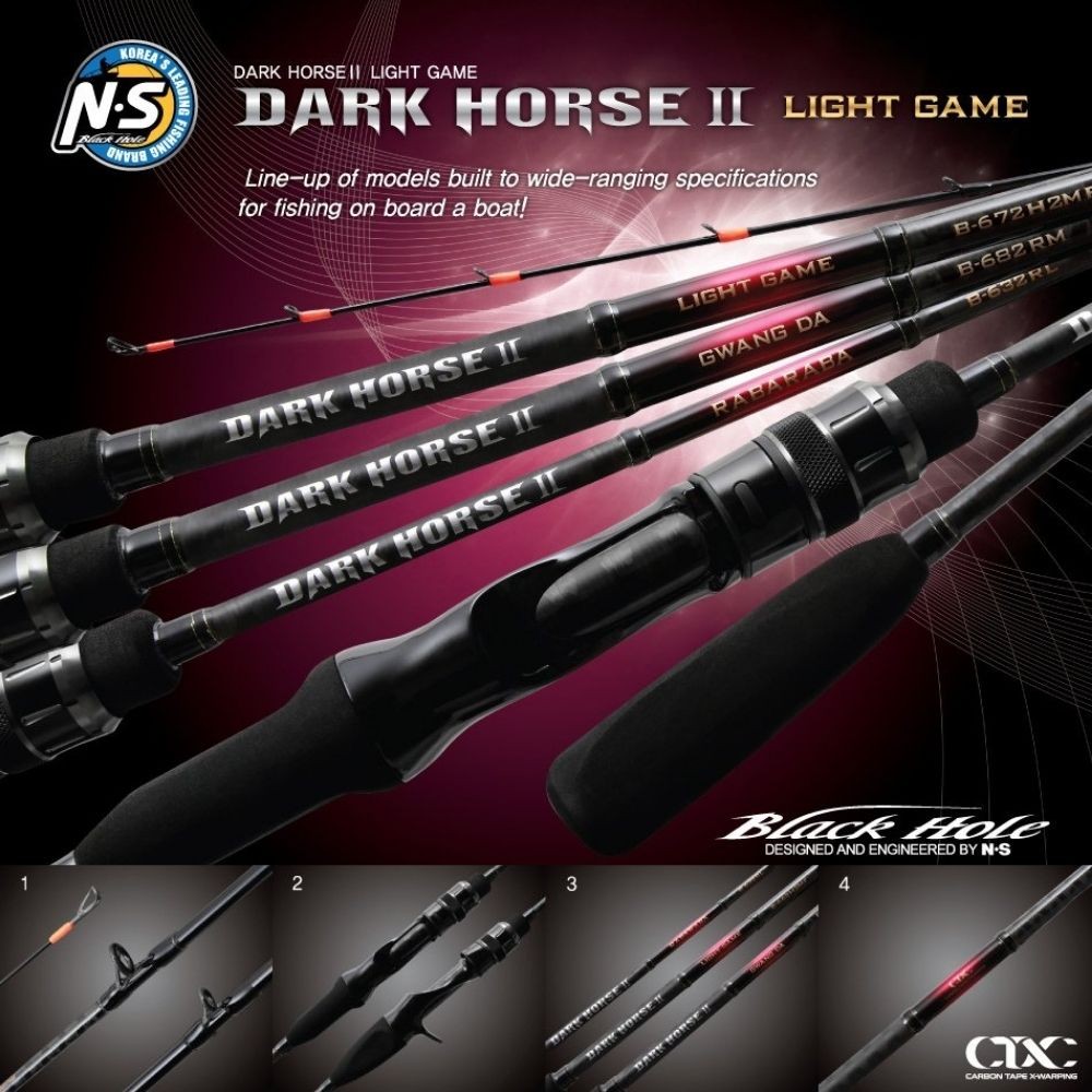 NS BLACK HOLE Baitcasting All-Round Boat Rod DARK HORSE II B-672H2MF