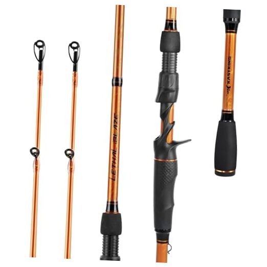 Lethal Blaze Twin-Tip Fishing Rods, IM6 Graphite Blanks Casting & Spinning