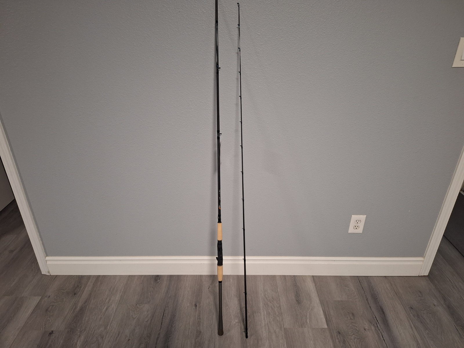 Phenix Rods CICADA Casting / 10′ / 2 PC / 10-30 LB 1-6OZ PHX-CAX-C1007-2