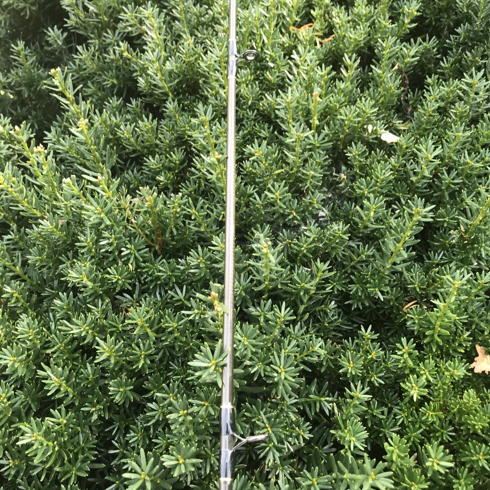 Shimano 1 Pc PMC-60MC Medium Casting Rod 6’ 6-15 Lb Line Missing 1 Guide