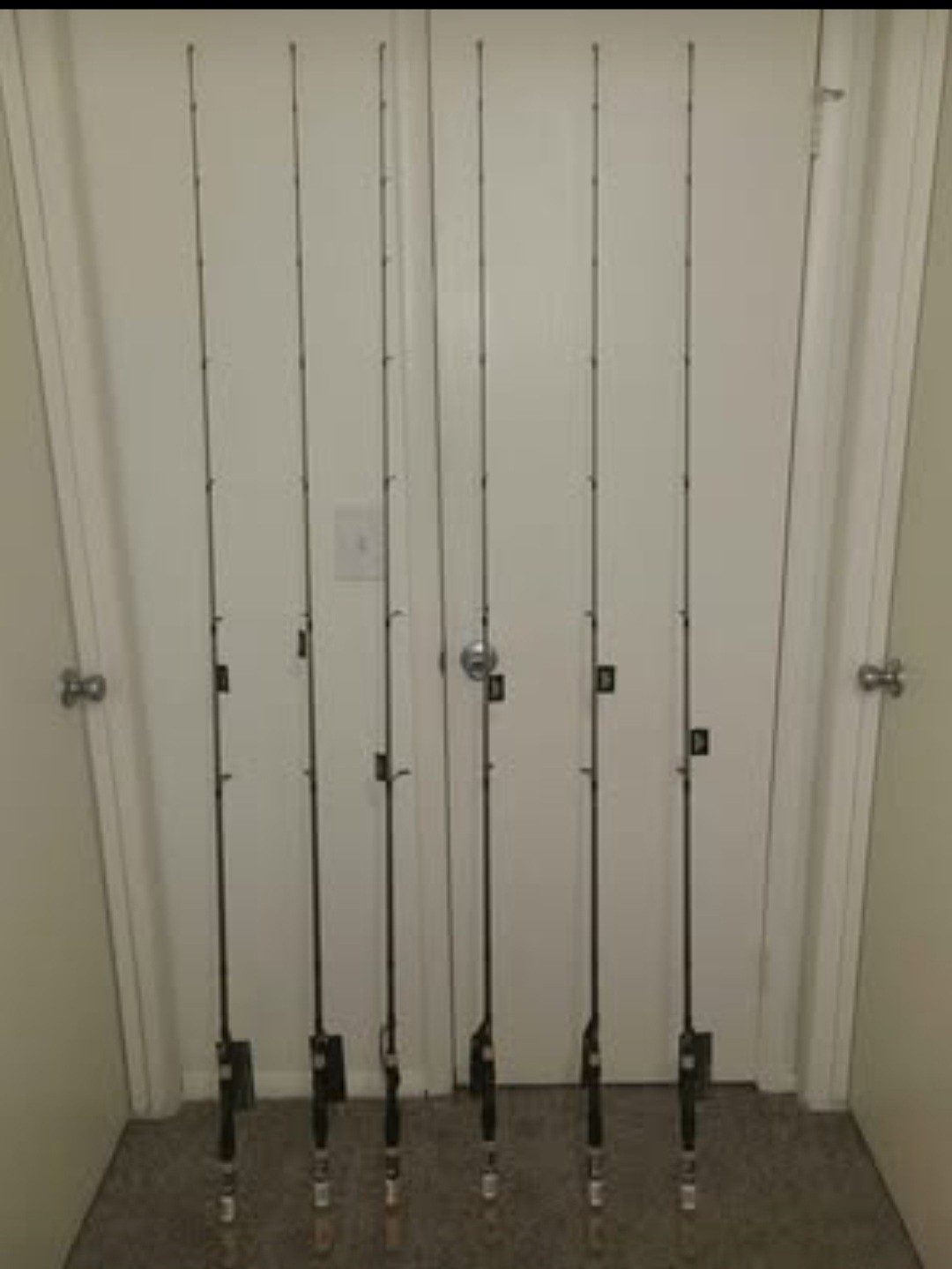 fenwick hmg spinning rod