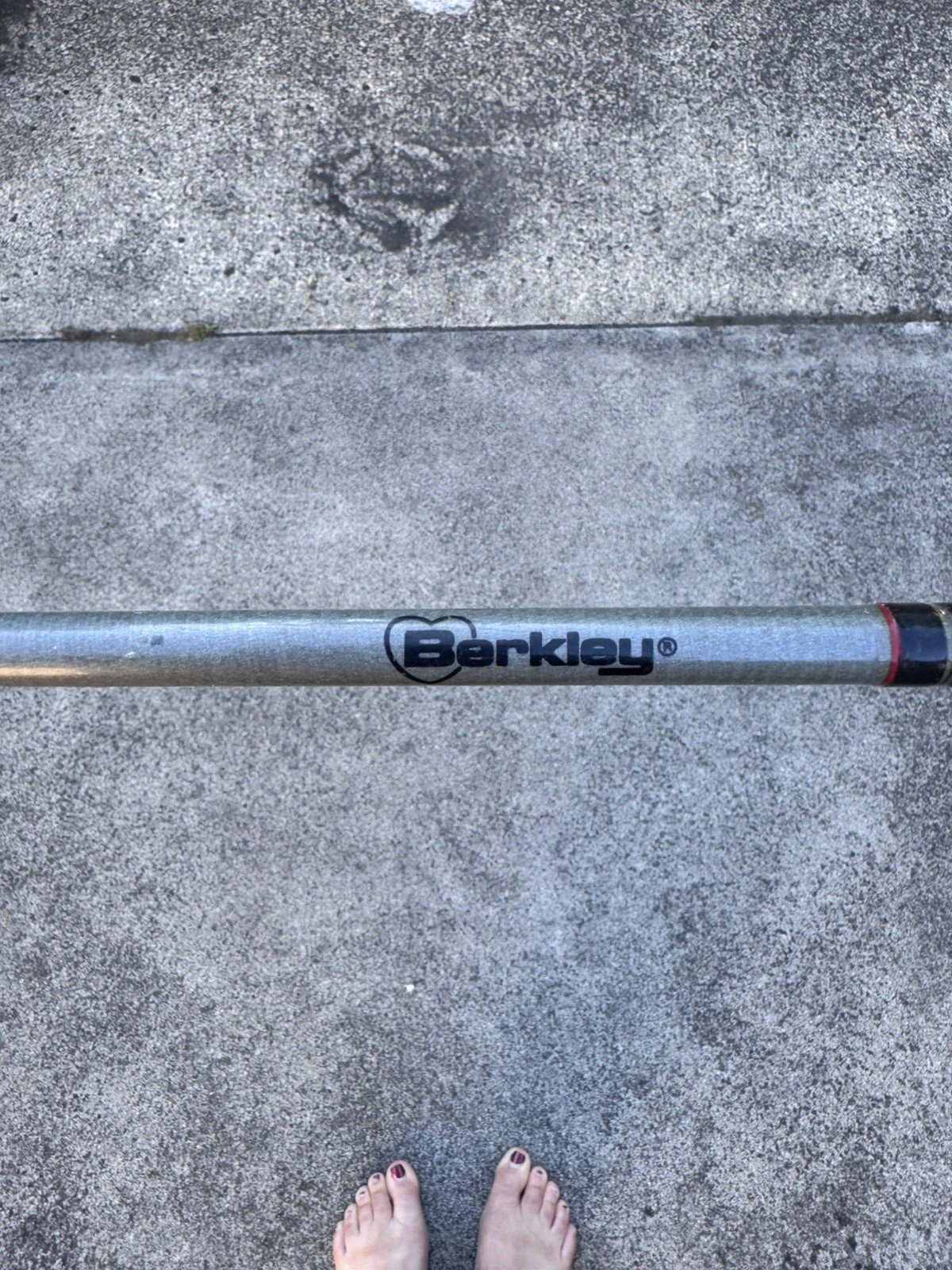 Berkley Vintage 2 Piece Fishing Rod “AVENGER” Medium Action AC30 6’6″