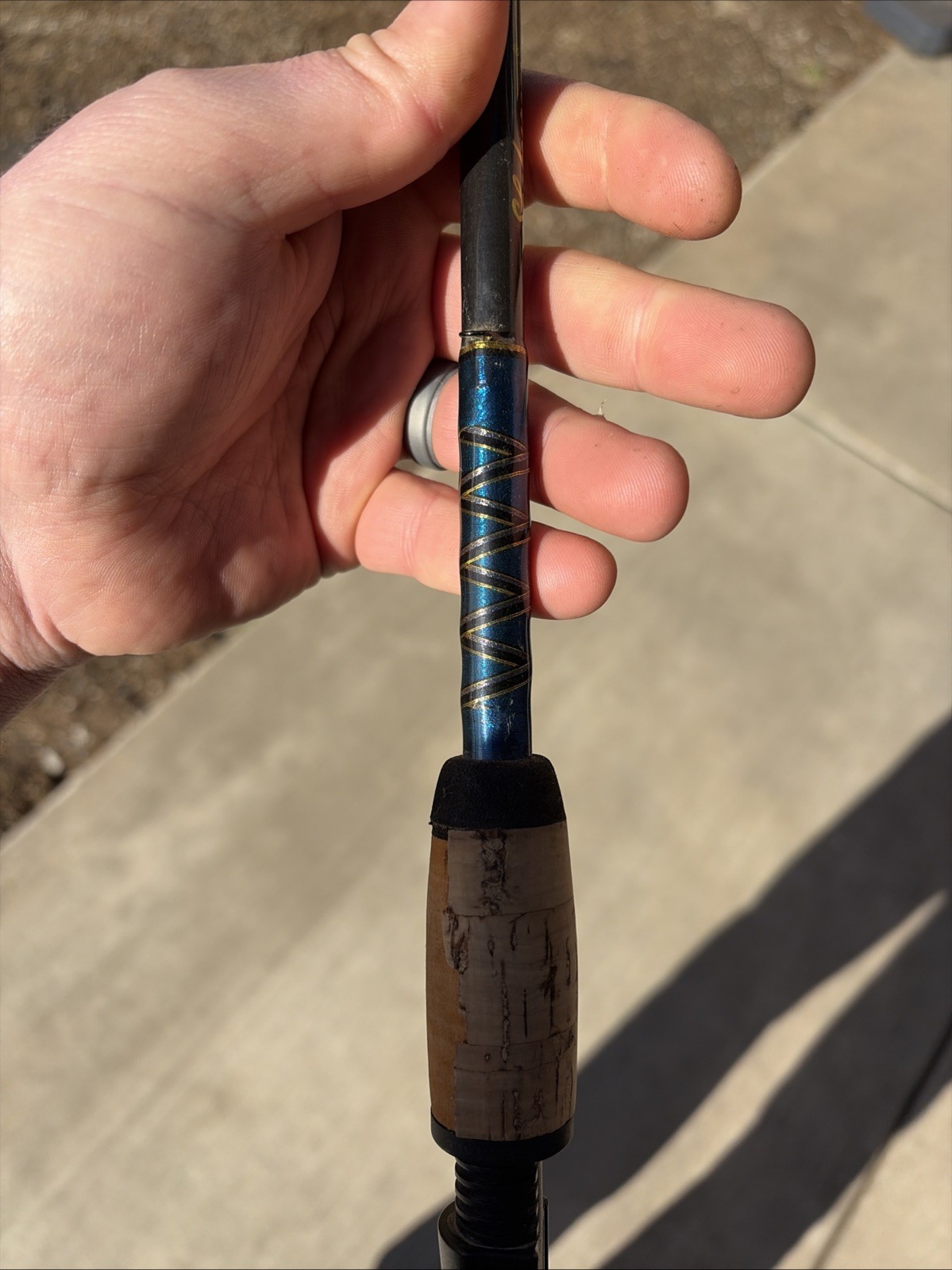 Shakespeare Synergy Casting Rod