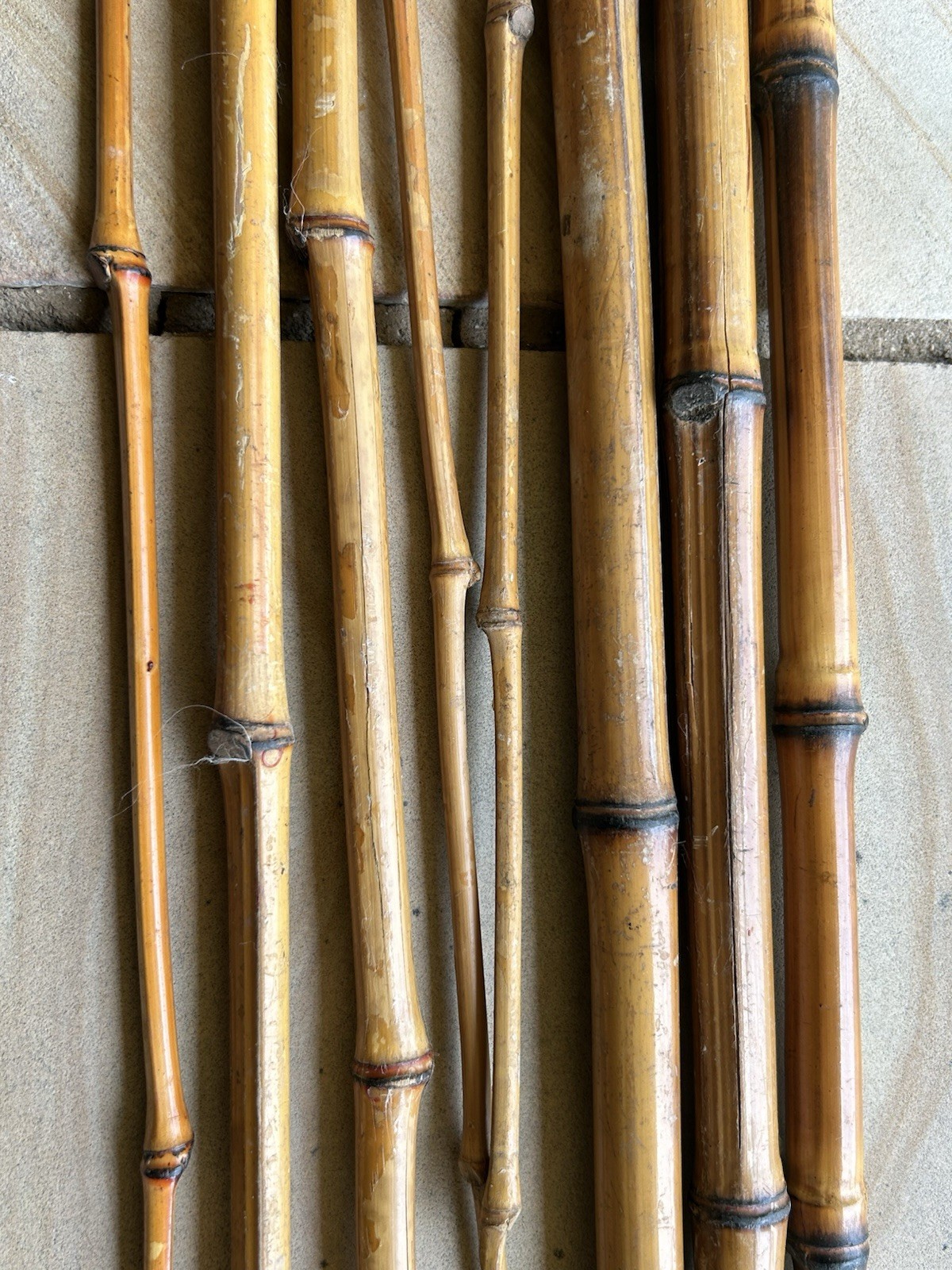 Lews Poles Foley ,Alabama Bamboo Fishing Poles 2pc 10’/3pc11’ Plus Extra W/line