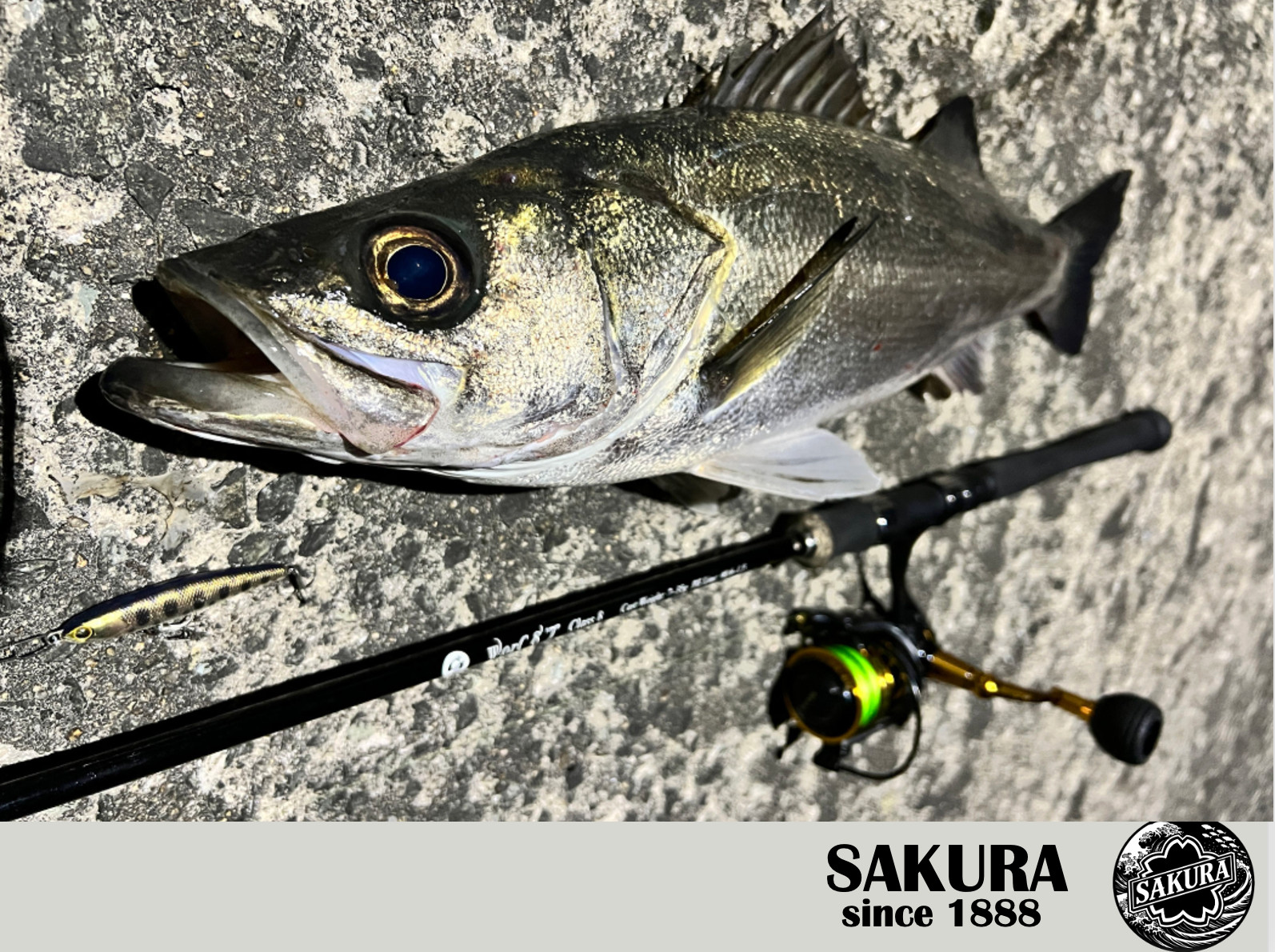 JDM Spinning Rod Metal Jig Casting All Saltwater Fish 9ft Carbon SAKURA Japan