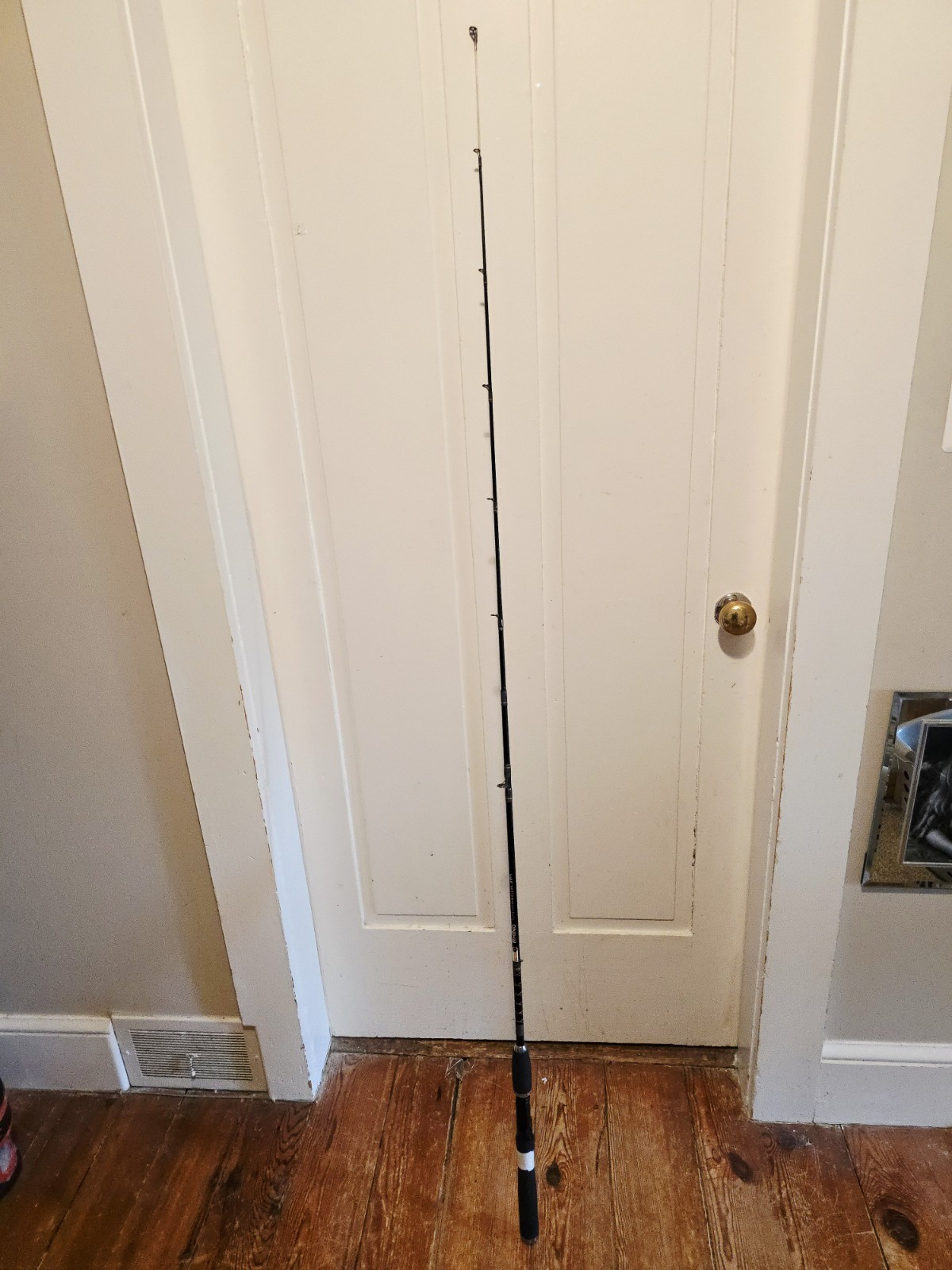 Rhino Titanium RHTC602M 6′ 2pc Medium/ Action Casting Rod