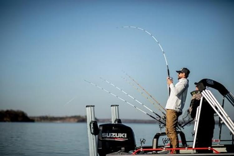 Catfish Special Spinning Fishing Rod