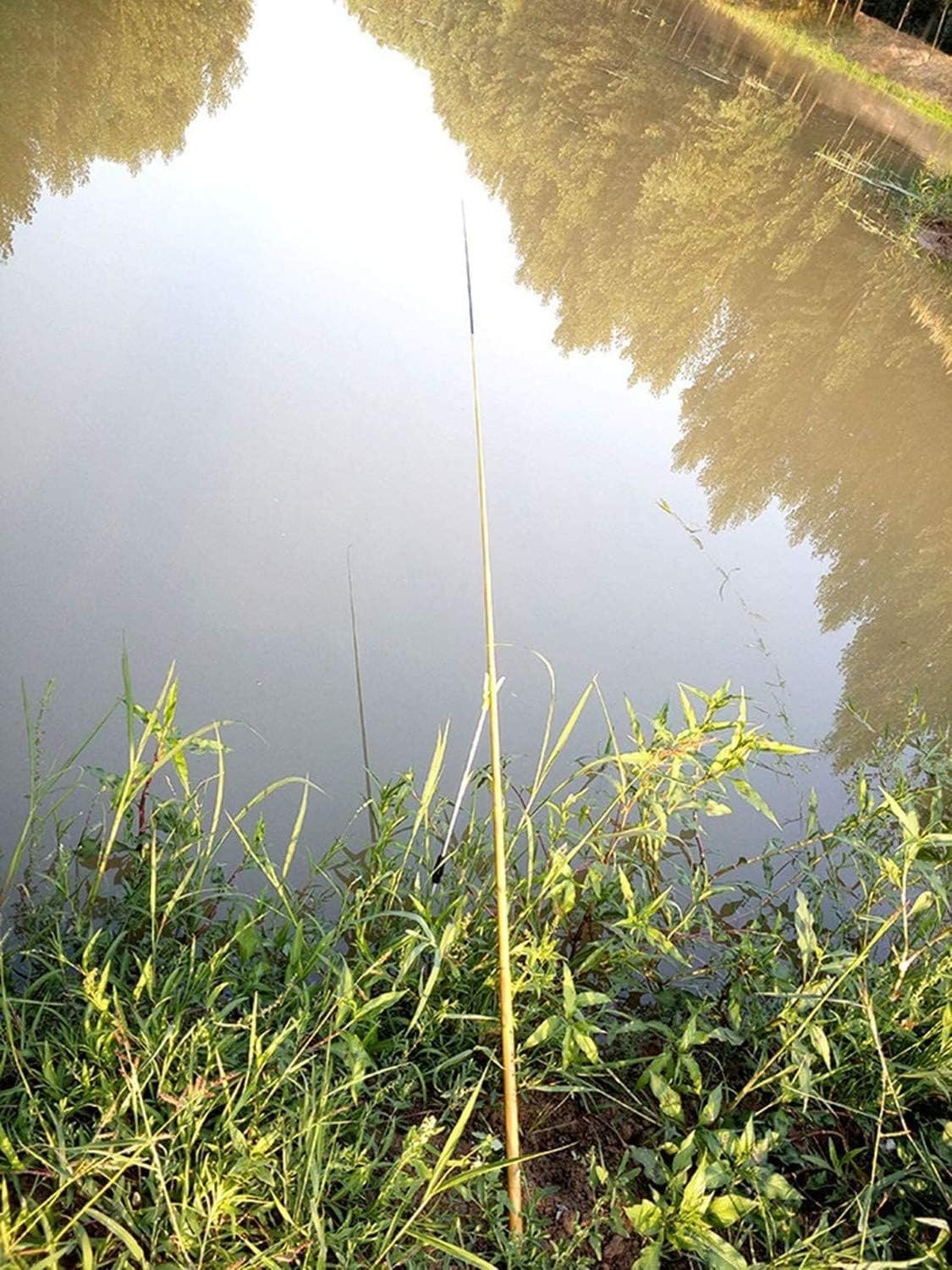 Travel-Friendly 1.9M Telescopic Fishing Rod – Ideal for Lakes and Rivers