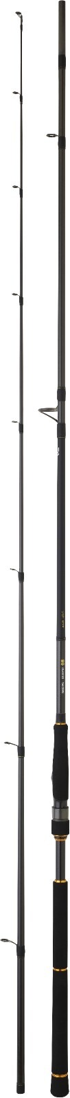 Daiwa BG Sea Bass – Fishing Rod