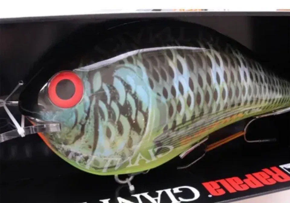 Rapala Giant Lure DT Tilapia – RGDT-TIL + Display Box – Collector