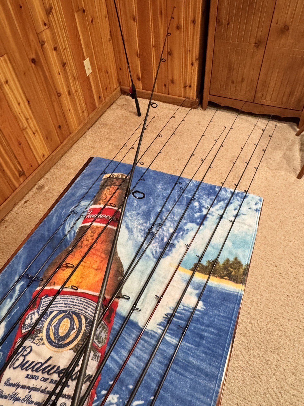 G Loomis IMX 6’ Light Fast Action Spinning Rod