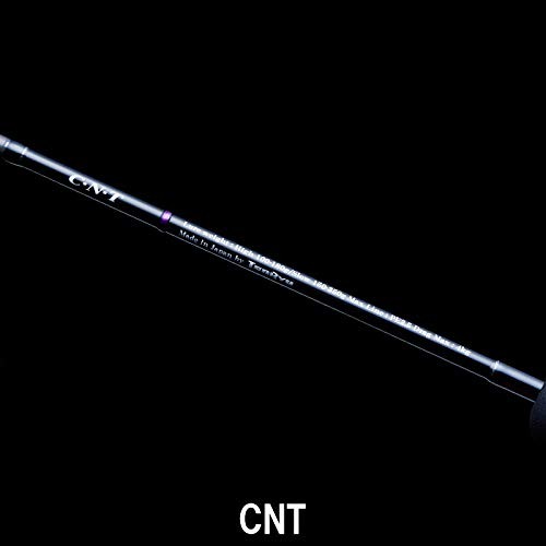 Tenryu HORIZON MJ HMJ5101B-ML Baitcasting Rod Jigging Saltwater Fishing Rod NEW