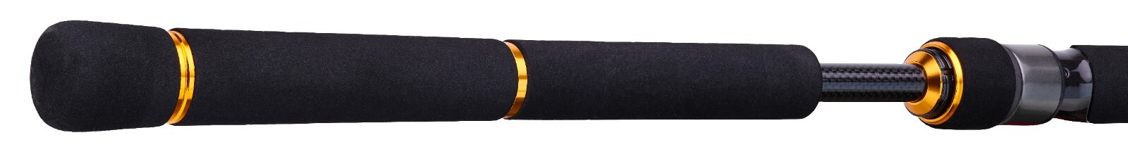 Daiwa BG Sea Bass – Fishing Rod