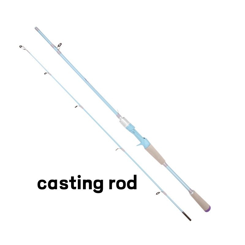 Bass Fishing Rod Carbon Fiber Spinning/Casting Fishing Pole Bait WT 4-32G Rods