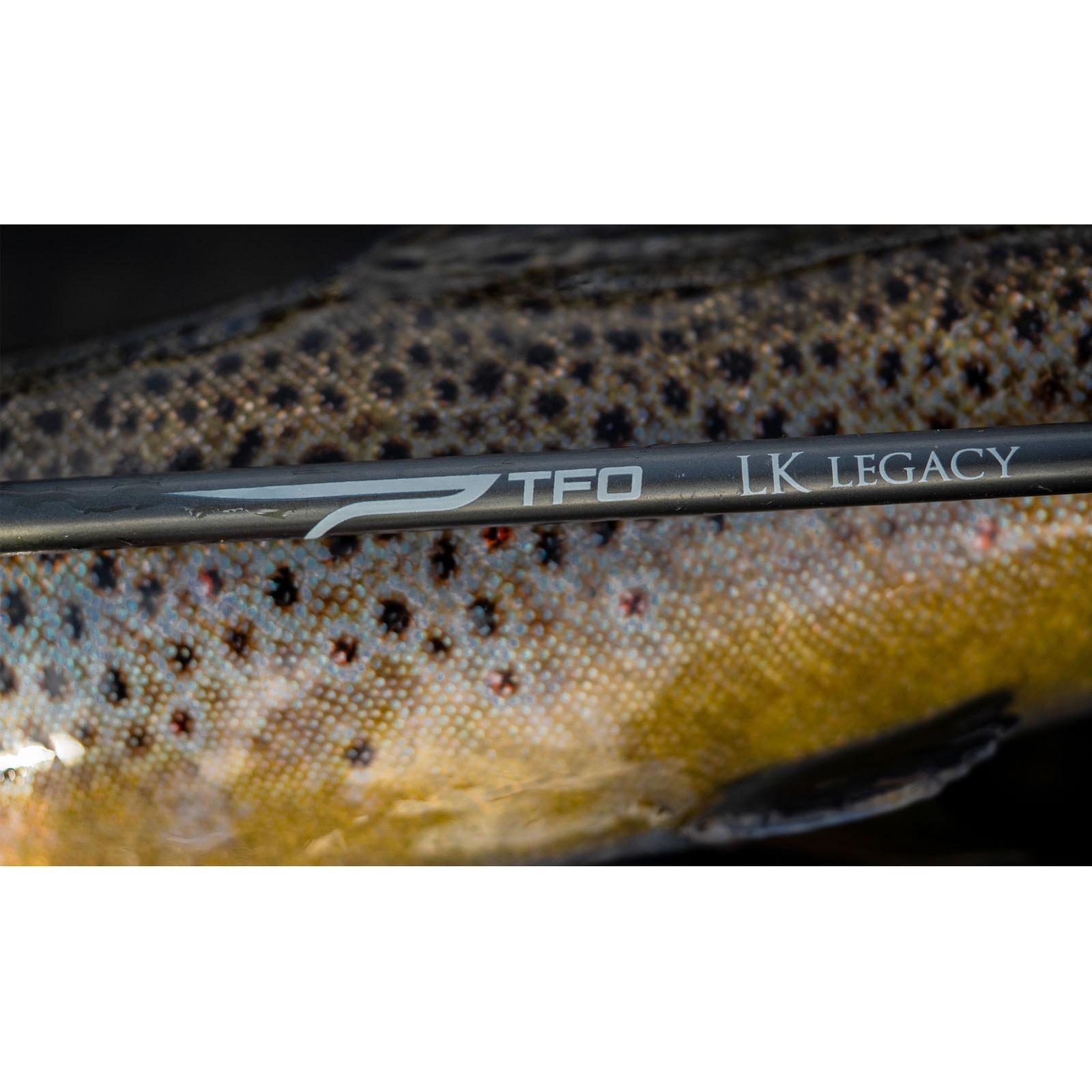 TEMPLE FORK OUTFITTERS 4 wt. 8’6″ 4 pc. Legacy Rod w/Case (TF-04-86-4-LK)