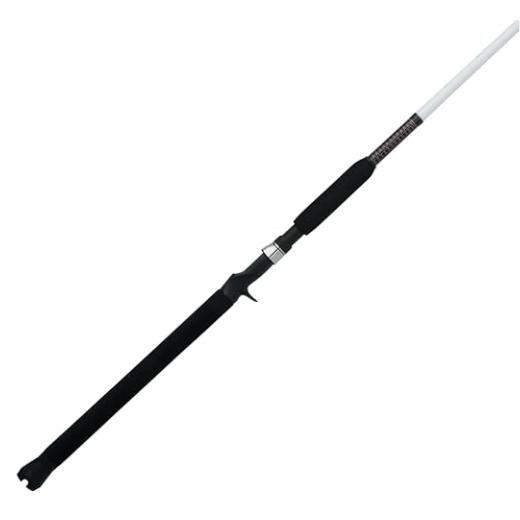 Catfish Special Spinning Fishing Rod