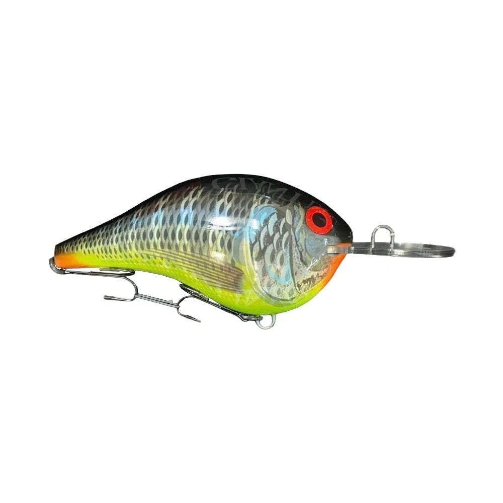 Rapala Giant Lure DT Tilapia – RGDT-TIL + Display Box – Collector