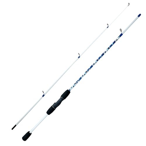 6’6″ Fiberglass Casting Rod, 2-Piece Skull Design, Durable & Sensitive with
