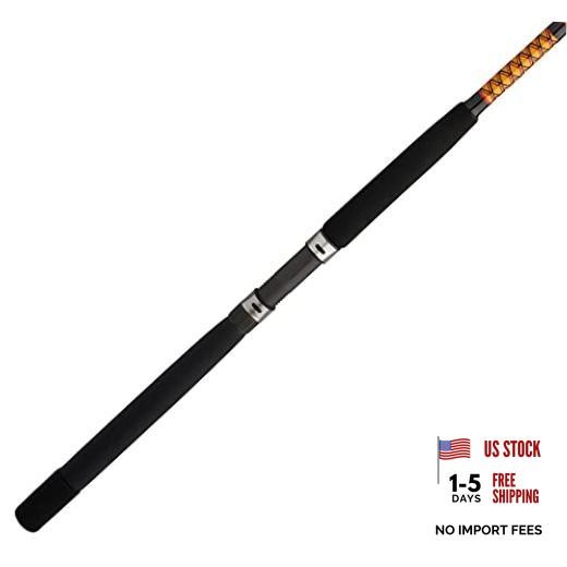 Bigwater Casting Fishing Rod