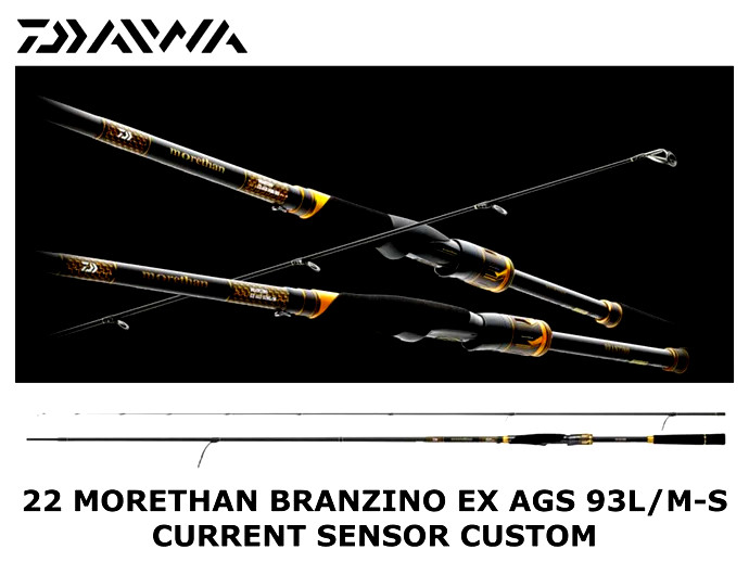 2025 -DAIWA BRANZINO EX AGS 9’3