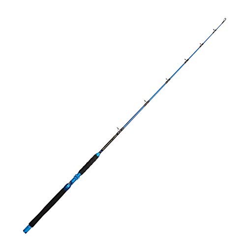 Saltwater Graphite Jig Jigging Spinning Fishing Rod Casting-6′,Heavy,80-120lbs