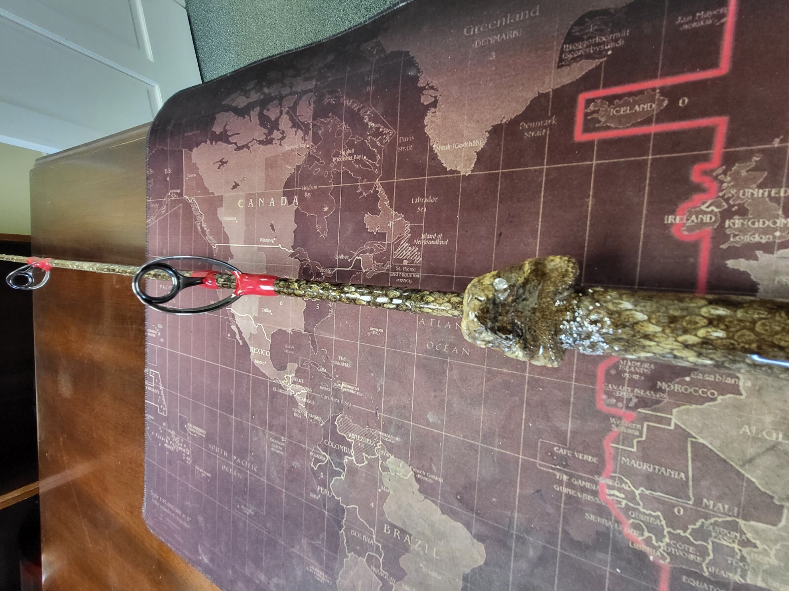 Custom Rattlesnake Fishing Rod Real Rattlesnake Skin Grips with or without Fangs