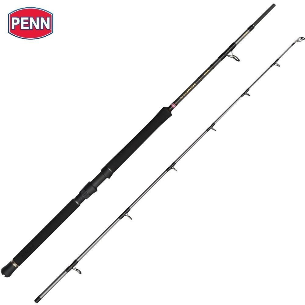 PENN REGIMENT IV Boat 702 20-30lb 2PCS