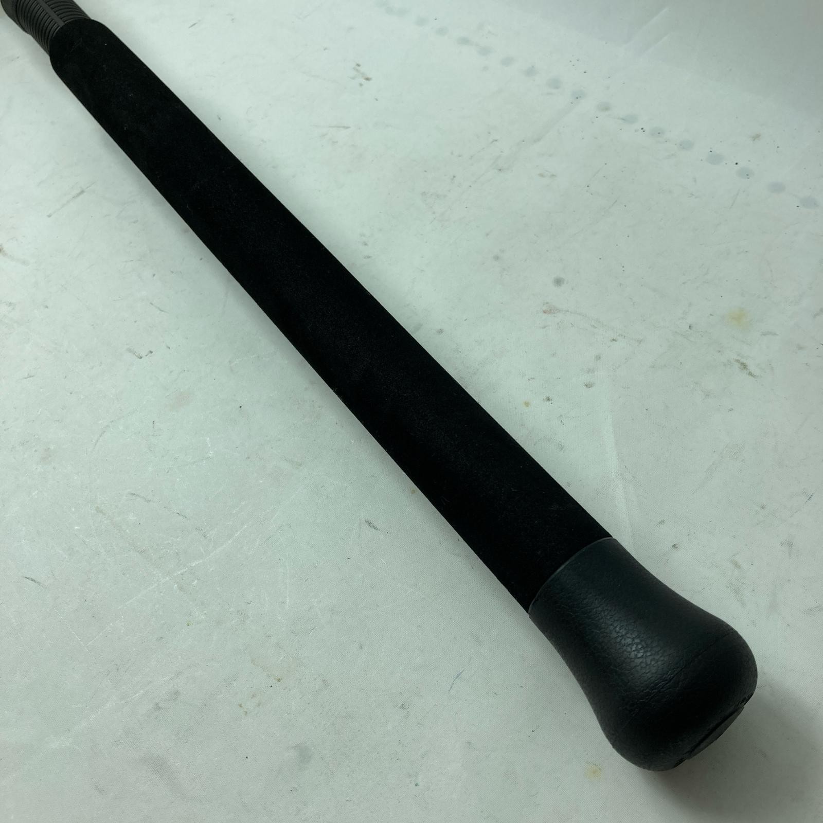SAURUS Seabass rod Saltwater Sportsman Blut 96 With rod bag